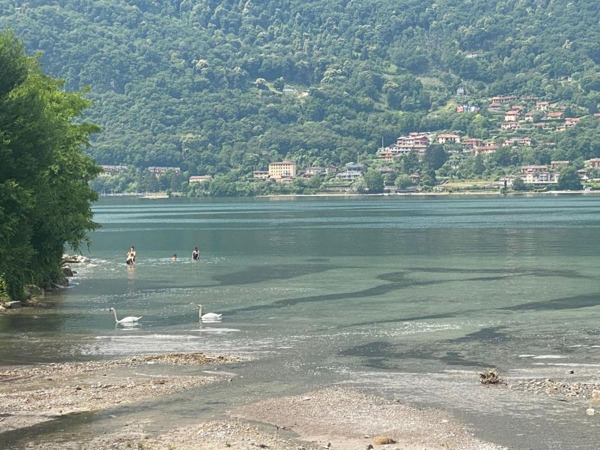 Villa The Swan - Composed By 2 Apartments Mandello del Lario Buitenkant foto